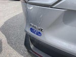 2023 RAV4 Thumbnail 8