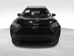 2019 RAV4 Thumbnail 11