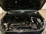 2019 RAV4 Thumbnail 12