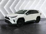 2024 RAV4 Thumbnail 3