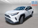 2025 RAV4 Thumbnail 8