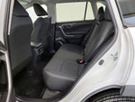 2025 RAV4 Thumbnail 19