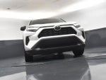 2024 RAV4 Thumbnail 19
