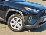 2025 RAV4 Thumbnail 6