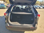 2025 RAV4 Thumbnail 8