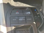 2025 RAV4 Thumbnail 25