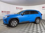 2019 RAV4 Thumbnail 6