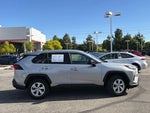 2025 RAV4 Thumbnail 2