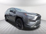 2025 RAV4 Thumbnail 3