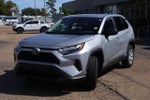 2024 RAV4 Thumbnail 22