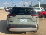 2019 RAV4 Thumbnail 6