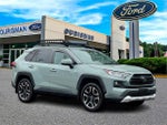 2019 RAV4 Thumbnail 1