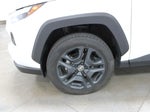 2024 RAV4 Thumbnail 33