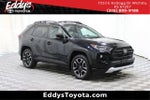 2019 RAV4 Thumbnail 1