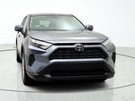 2025 RAV4 Thumbnail 2
