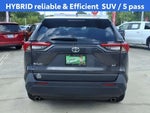 2023 RAV4 Thumbnail 20