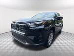 2025 RAV4 Thumbnail 1