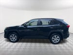 2025 RAV4 Thumbnail 8