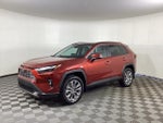 2025 RAV4 Thumbnail 5