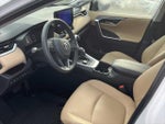 2025 RAV4 Thumbnail 10