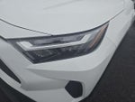 2025 RAV4 Thumbnail 31