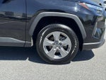 2025 RAV4 Thumbnail 8