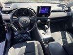 2025 RAV4 Thumbnail 19