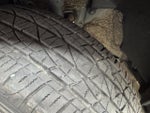 2020 RAV4 Thumbnail 32