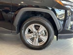 2025 RAV4 Thumbnail 7