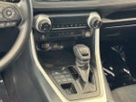 2025 RAV4 Thumbnail 20
