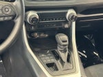 2025 RAV4 Thumbnail 20