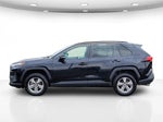 2024 RAV4 Thumbnail 10
