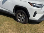 2024 RAV4 Thumbnail 10