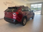 2023 RAV4 Thumbnail 2