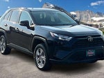 2025 RAV4 Thumbnail 12