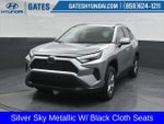 2025 RAV4 Thumbnail 6