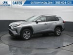 2025 RAV4 Thumbnail 7