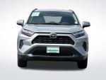 2025 RAV4 Thumbnail 8