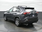 2023 RAV4 Thumbnail 4