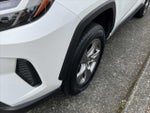 2025 RAV4 Thumbnail 9