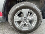 2025 RAV4 Thumbnail 19