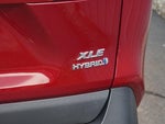 2019 RAV4 Hybrid Thumbnail 8