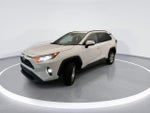 2021 RAV4 Thumbnail 8