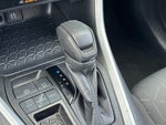 2025 RAV4 Thumbnail 20