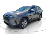 2025 RAV4 Thumbnail 2