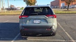 2020 RAV4 Thumbnail 8