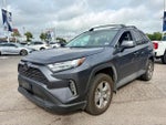 2025 RAV4 Thumbnail 5