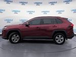 2025 RAV4 Thumbnail 22