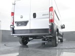 2025 ProMaster Thumbnail 50