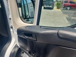 2021 ProMaster Thumbnail 18